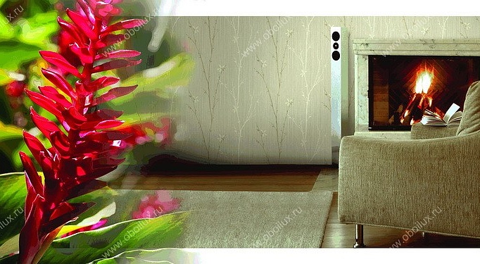 Обои Studio 465 Brasilia EL90408