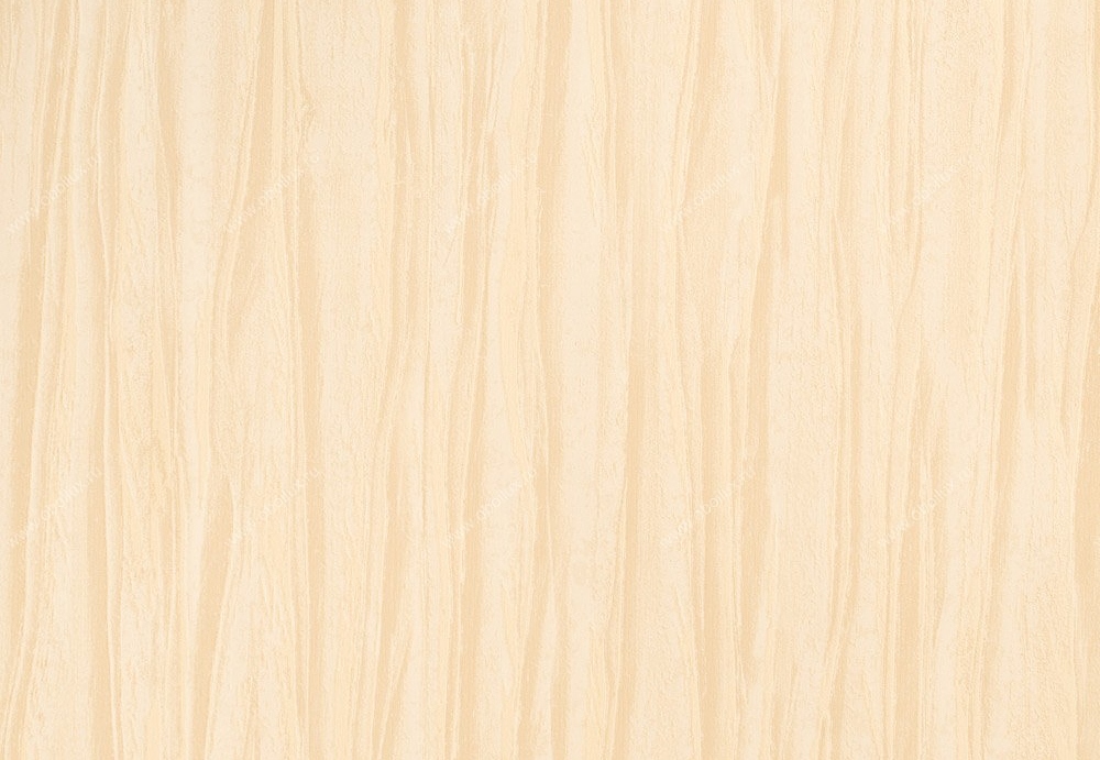 Обои Studio 465 Brasilia EL90703