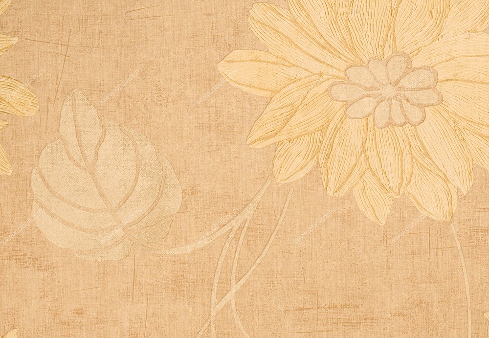 Обои Studio 465 Brasilia EL91403