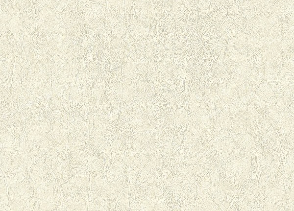 Обои Studio 465 St. Petersburg BU20808