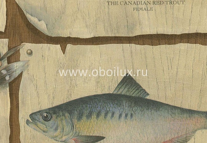 Обои Blue Mountain Brown BC1580216