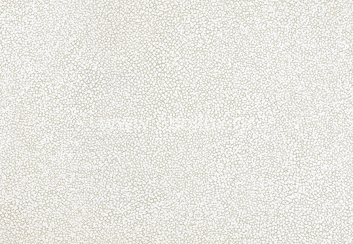 Обои York Color Expressions PX8887