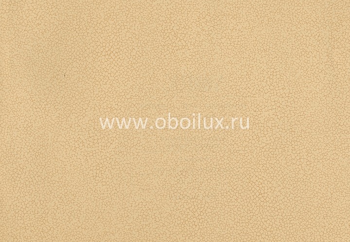Обои York Color Expressions PX8888