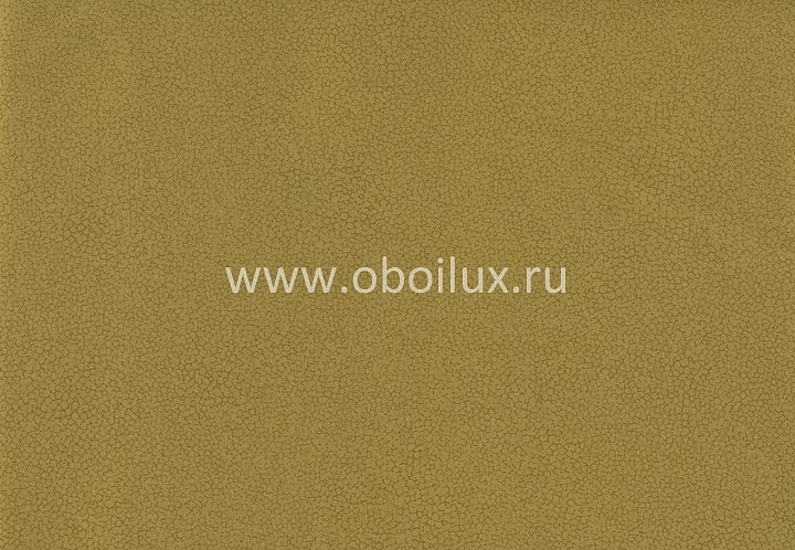 Обои York Color Expressions PX8889
