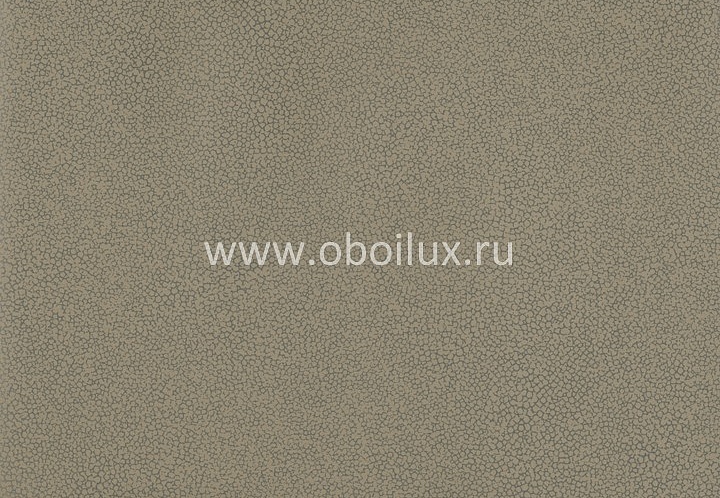 Обои York Color Expressions PX8890