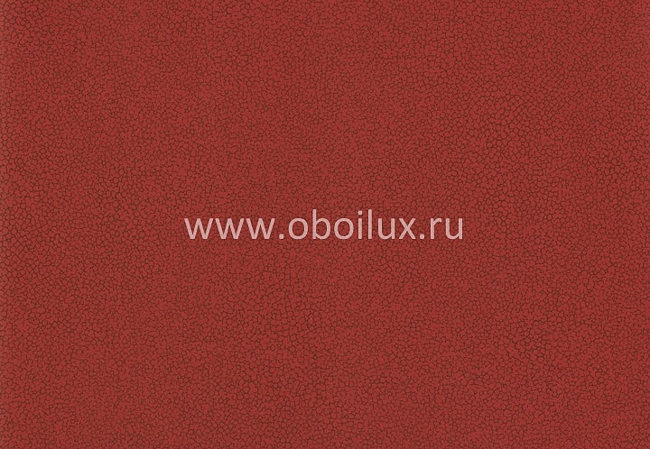 Обои York Color Expressions PX8896