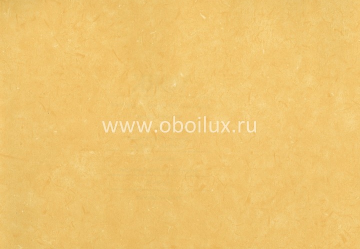 Обои York Color Expressions PX8900