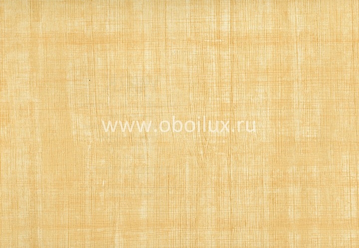 Обои York Color Expressions PX8941