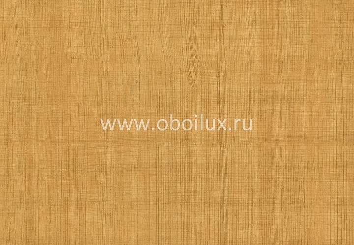 Обои York Color Expressions PX8942