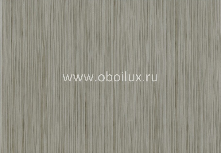 Обои York Color Expressions PX8950