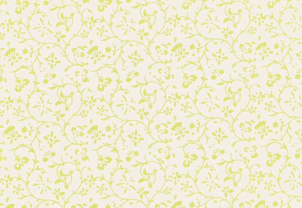 Обои Schumacher Jaipur 5005262