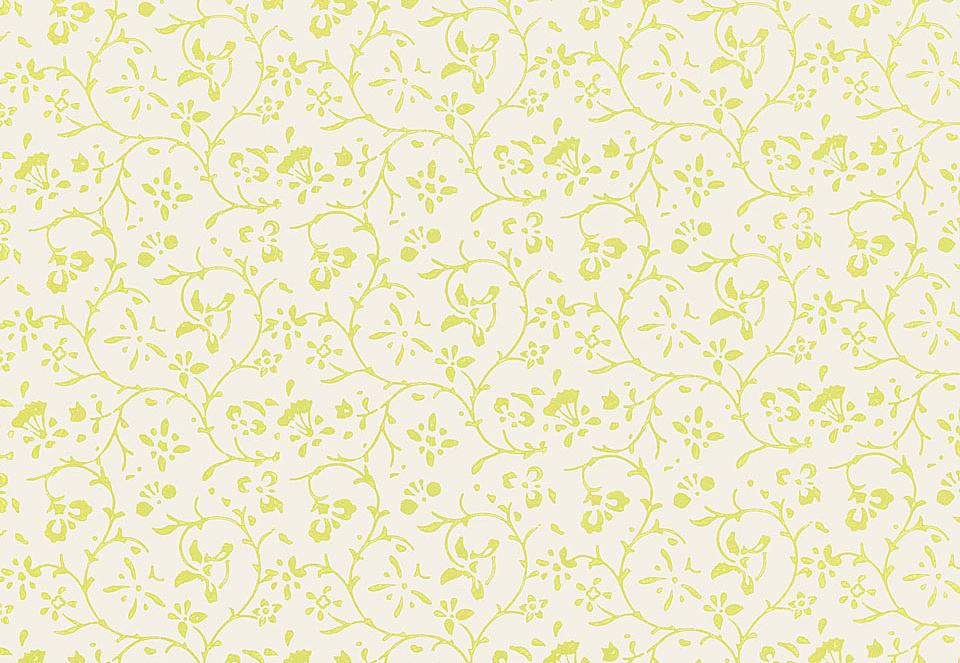 Обои Schumacher Jaipur 5005262