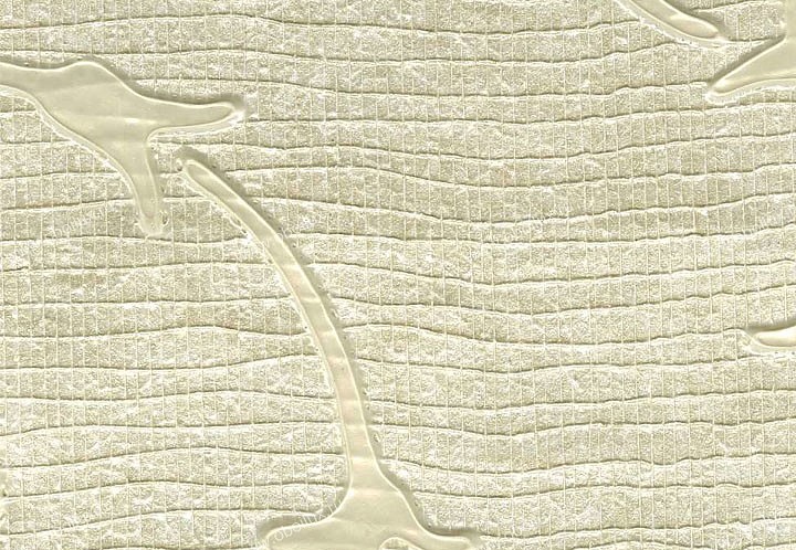Обои Schumacher Atelier 5003390