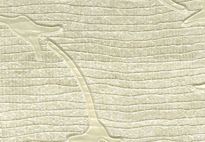 Обои Schumacher Atelier 5003390