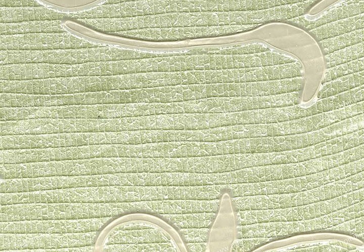 Обои Schumacher Atelier 5003392