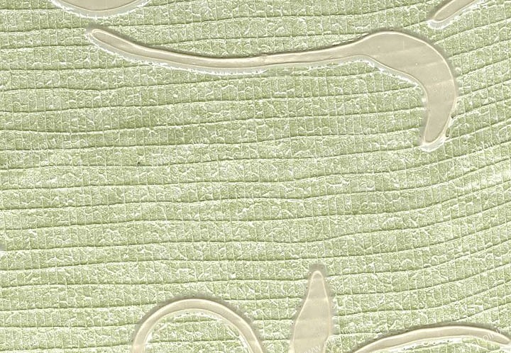 Обои Schumacher Atelier 5003392