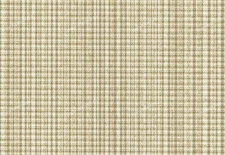 Обои Schumacher Atelier 5003450