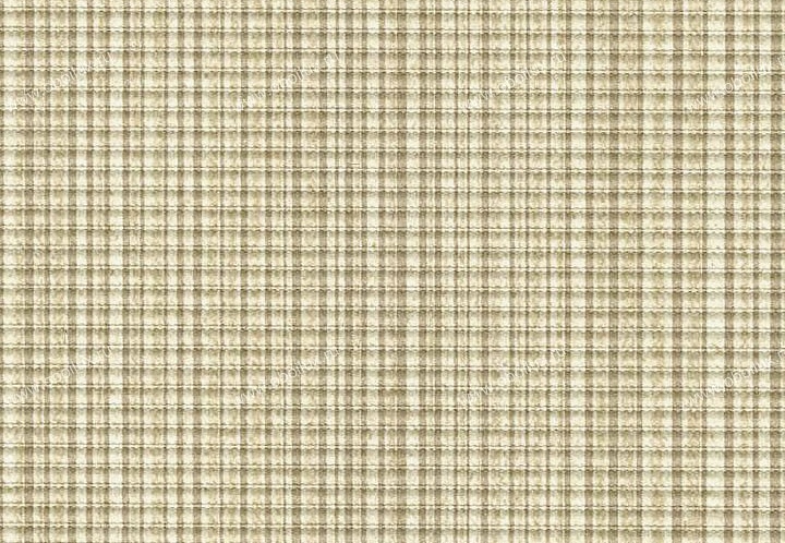 Обои Schumacher Atelier 5003450