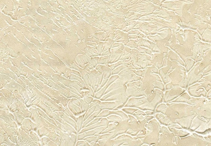 Обои Schumacher Atelier 5003500