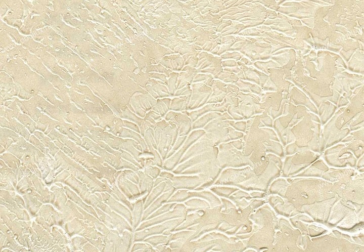 Обои Schumacher Atelier 5003500