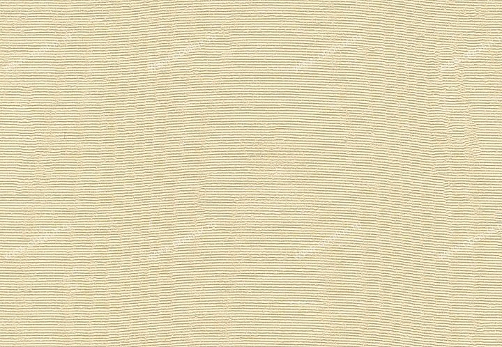 Обои Schumacher Atelier 5003512