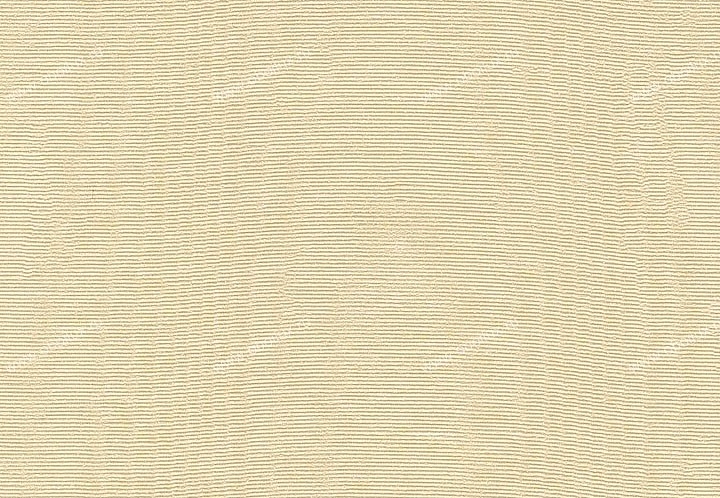 Обои Schumacher Atelier 5003512