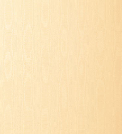Обои Schumacher Atelier 5003512