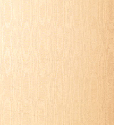 Обои Schumacher Atelier 5003513