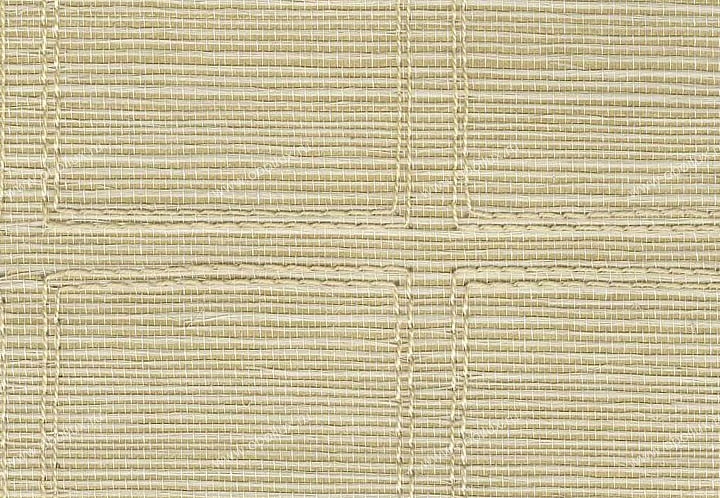 Обои Schumacher Atelier 5003550
