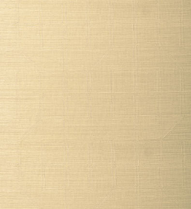 Обои Schumacher Atelier 5003550