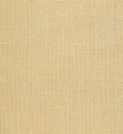 Обои Schumacher Atelier 5003581