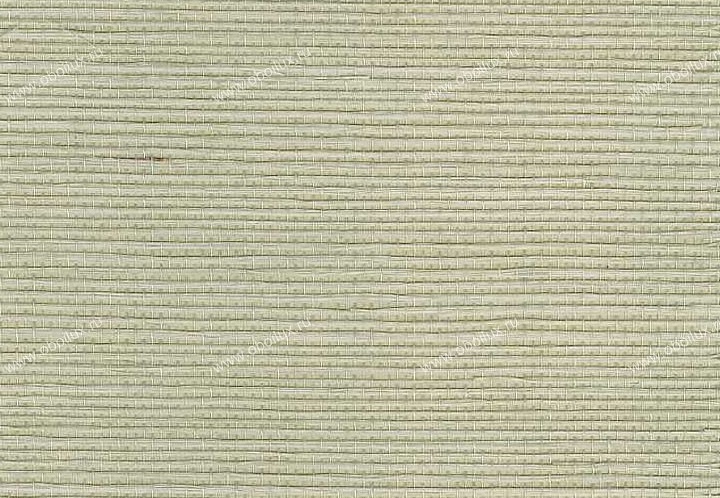 Обои Schumacher Atelier 5003591