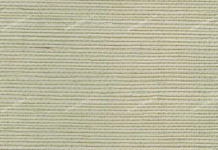 Обои Schumacher Atelier 5003591