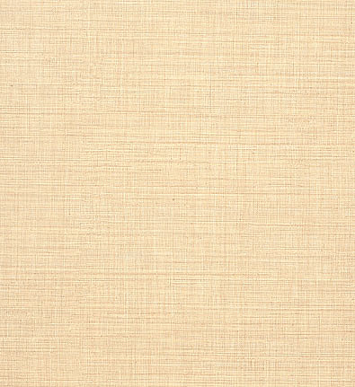 Обои Schumacher Atelier 528110