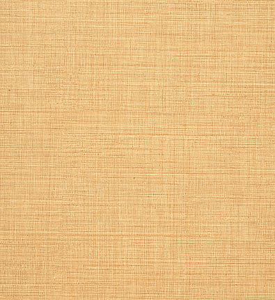 Обои Schumacher Atelier 528111