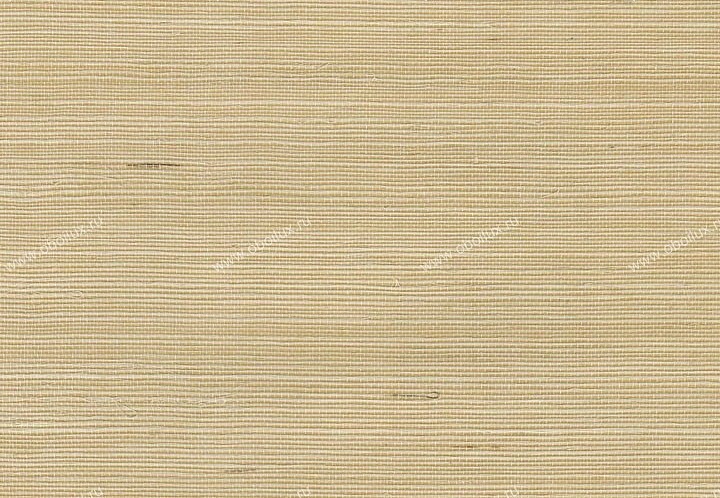 Обои Schumacher Sisals 5002907