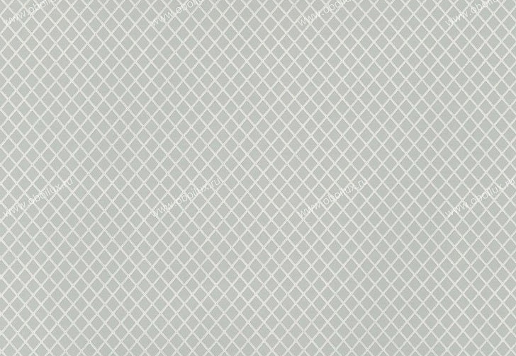 Обои Schumacher Small Prints 5004424