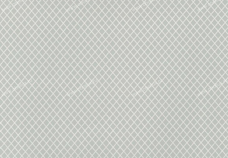 Обои Schumacher Small Prints 5004424