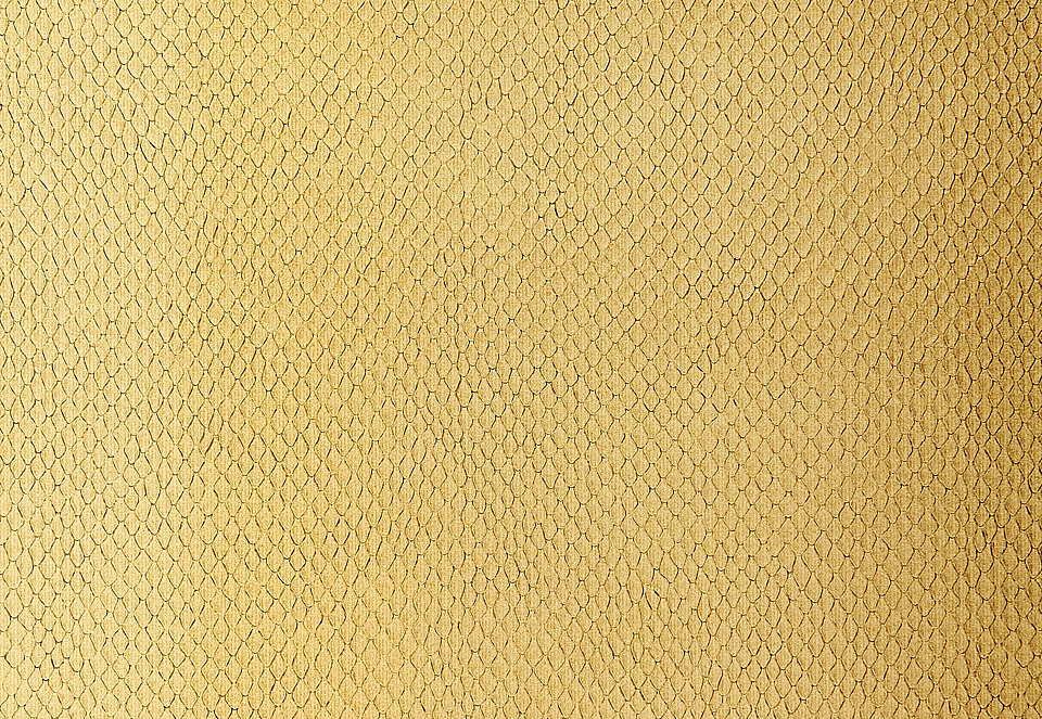Обои Schumacher Modern Glamour 5005821