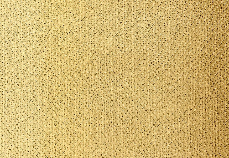 Обои Schumacher Modern Glamour 5005821