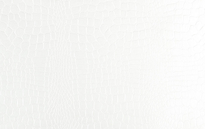 Американские обои Schumacher, коллекция Modern Glamour, артикул 5005830