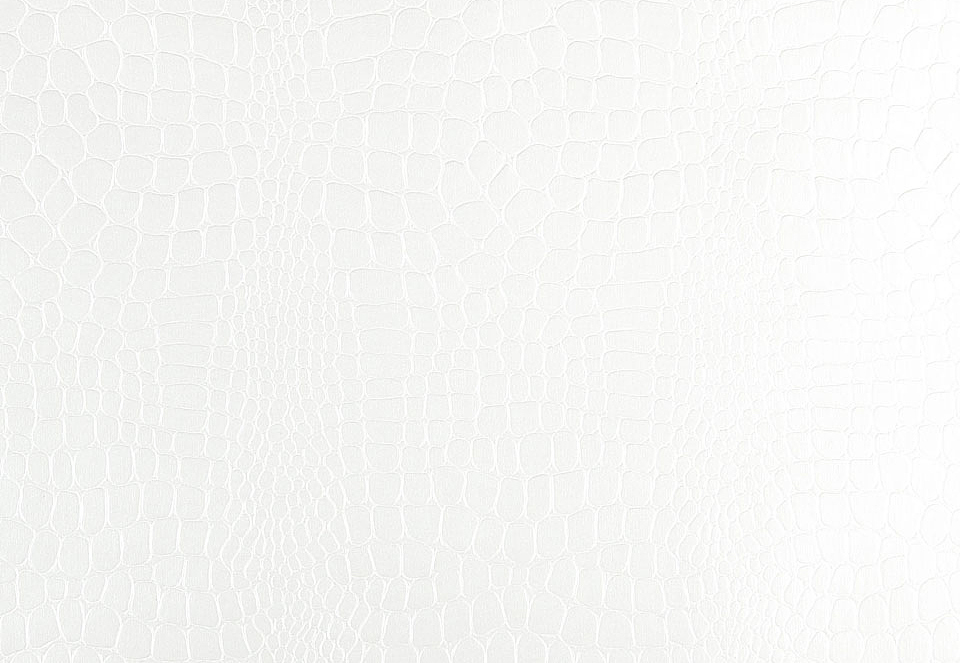 Обои Schumacher Modern Glamour 5005830