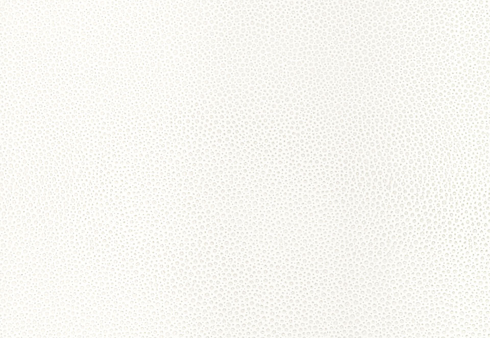 Обои Schumacher Modern Glamour 5005850