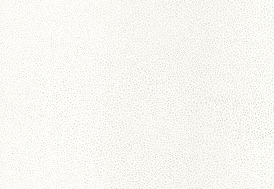 Обои Schumacher Modern Glamour 5005850