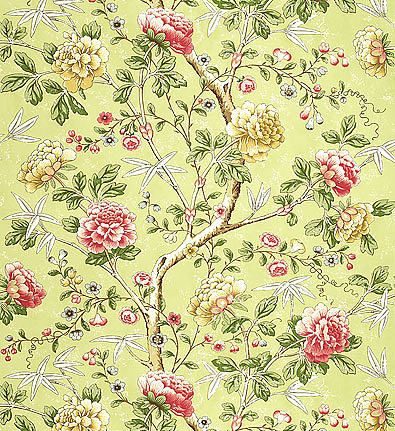 Обои Schumacher Signature Prints 5004212