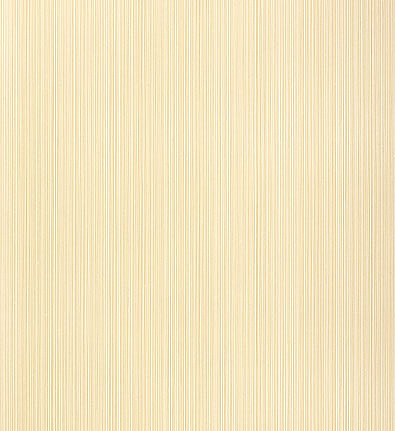 Обои Schumacher Signature Prints 5004229