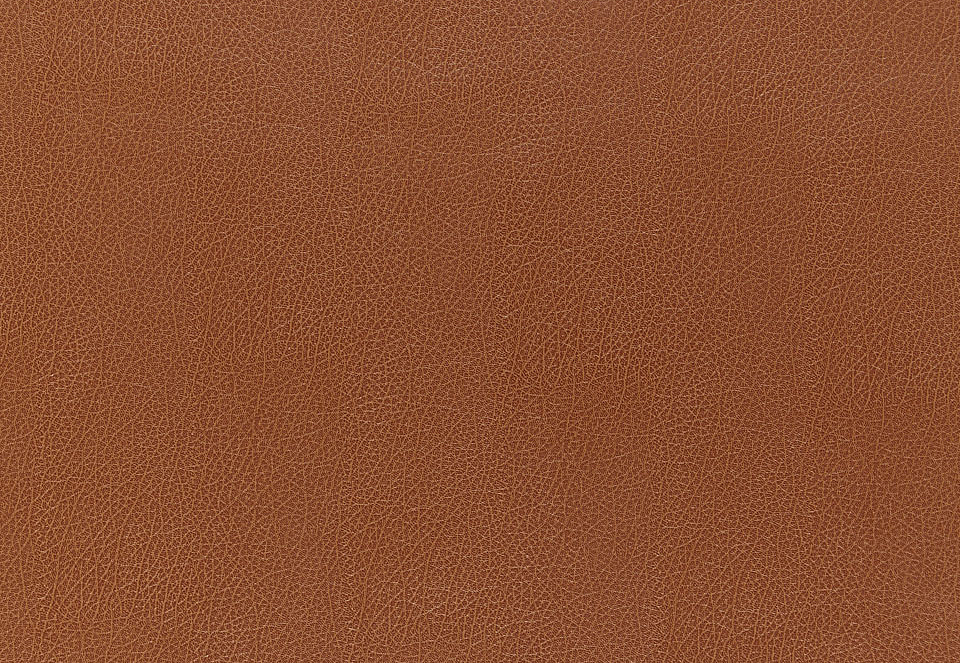 Обои Schumacher Luxe Lodge 5006210