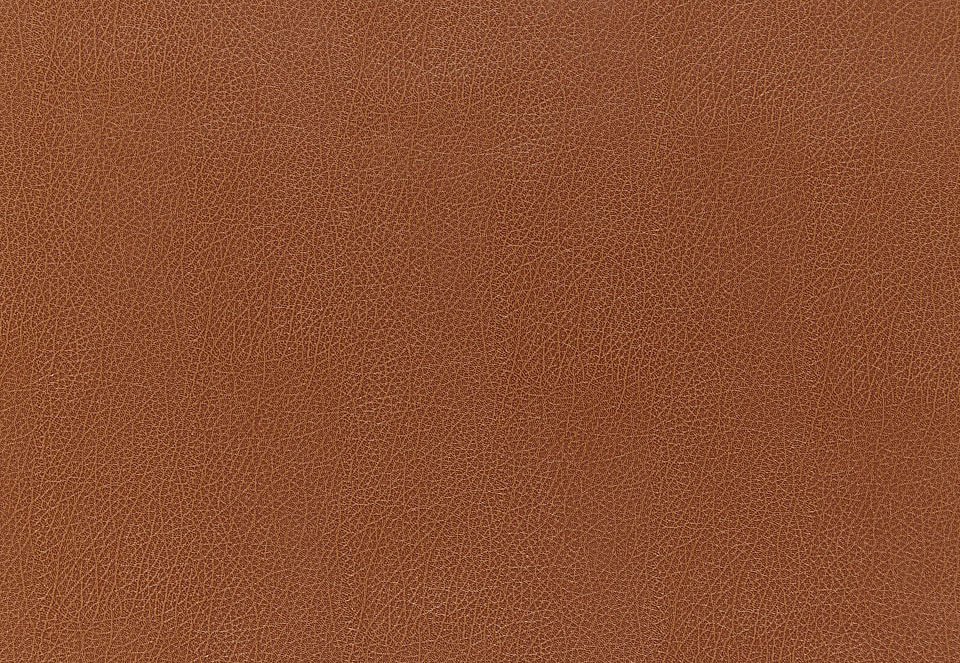 Обои Schumacher Luxe Lodge 5006210