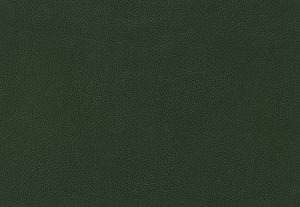 Обои Schumacher Luxe Lodge 5006214