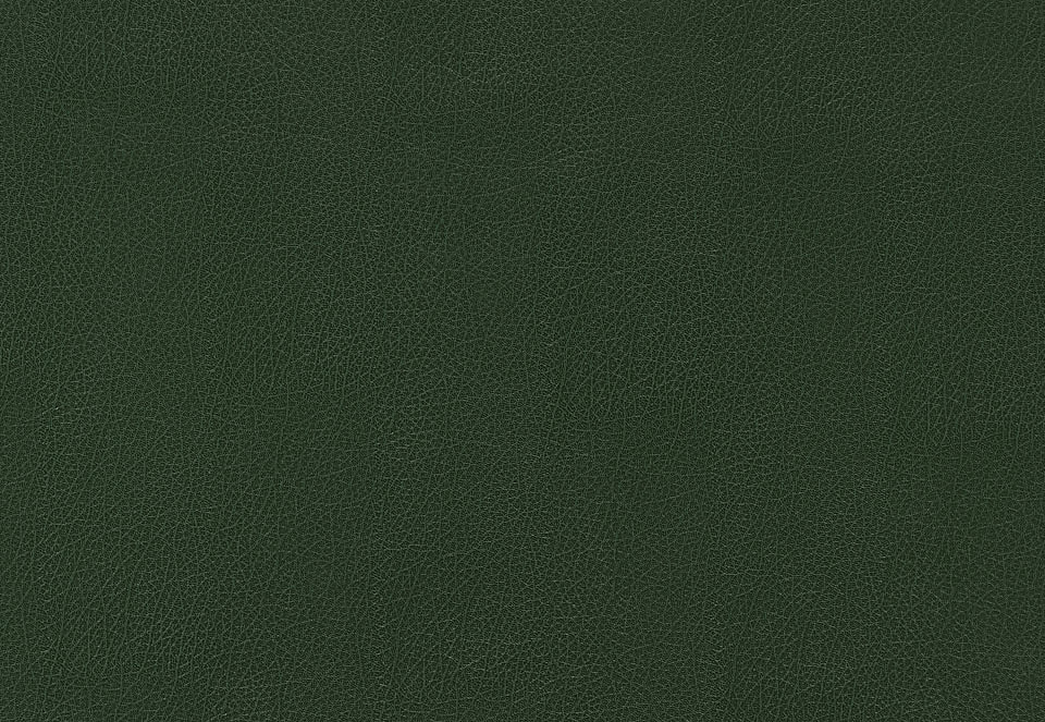 Обои Schumacher Luxe Lodge 5006214